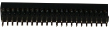 44-pin IDE riser